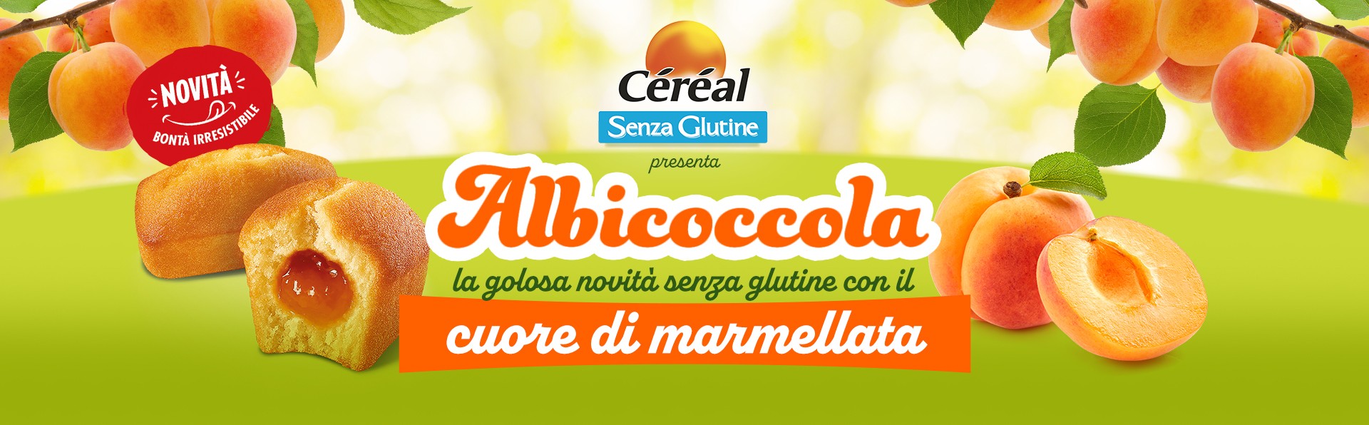 albicoccola-merendina-senza-glutine