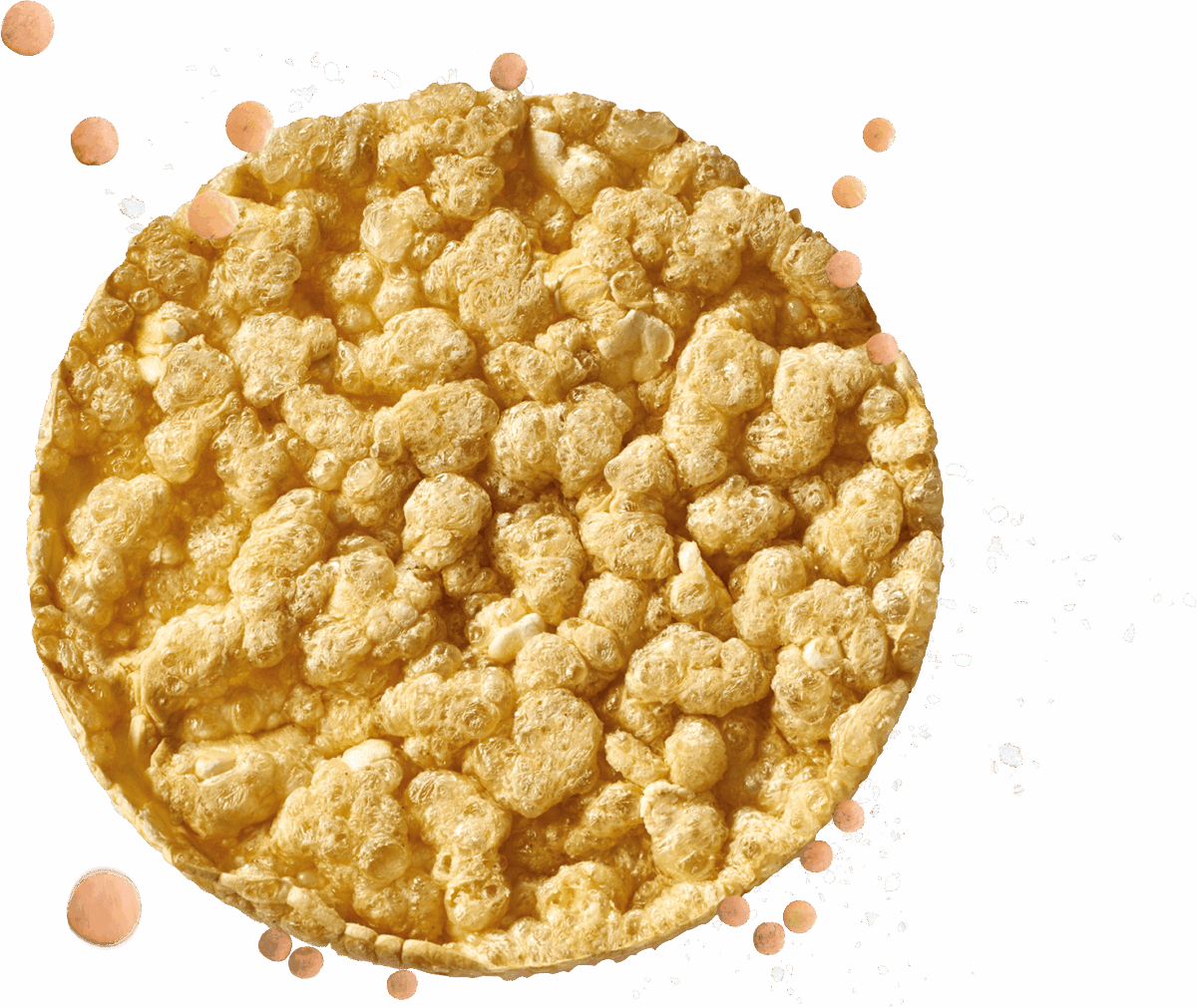wellness-protein-gallette-proteiche-naturale-nudo