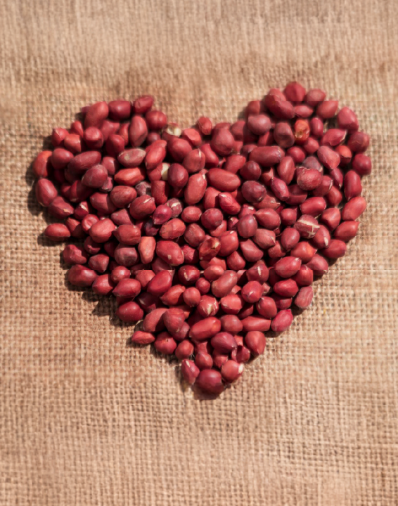 Le arachidi favoriscono la salute cardiovascolare