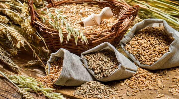 Alcuni dei cereali integrali più comuni: grano duro, kamut, orzo, farro