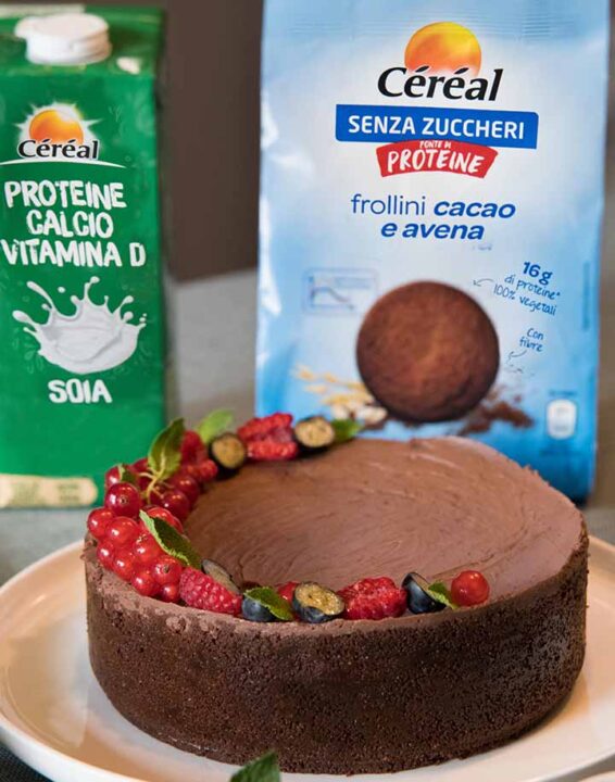 Cheesecake fredda di cioccolato per l'estate