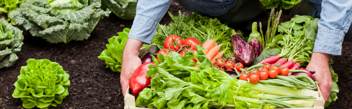 Cosa Vuol Dire Cibo Biologico, Céréal