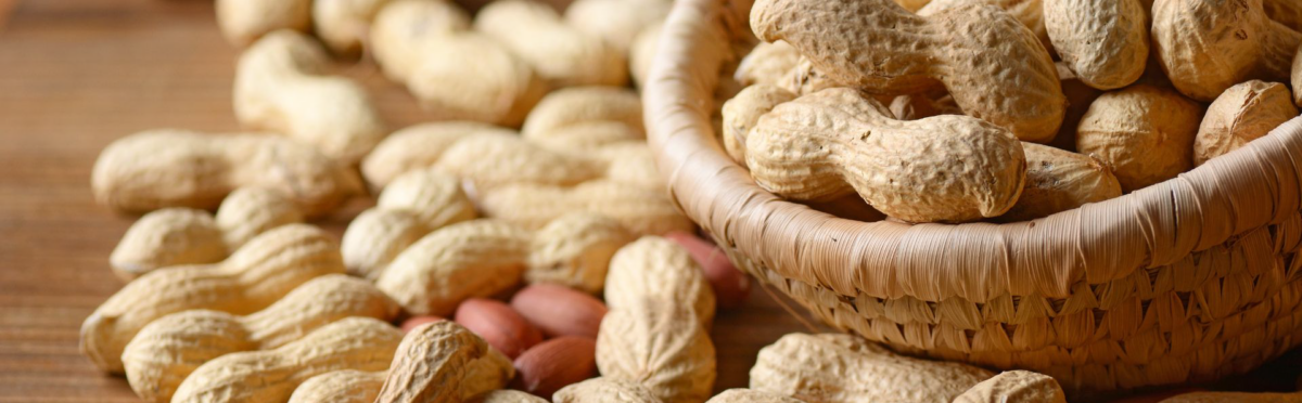 Arachidi: proprietà, benefici, consigli d’uso con Céréal